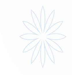 HB火博·(体育)World Cup 官方合作平台入口